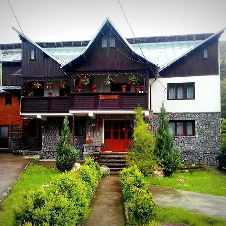 Hôtel Vila Vanturis à Sinaia Extérieur photo
