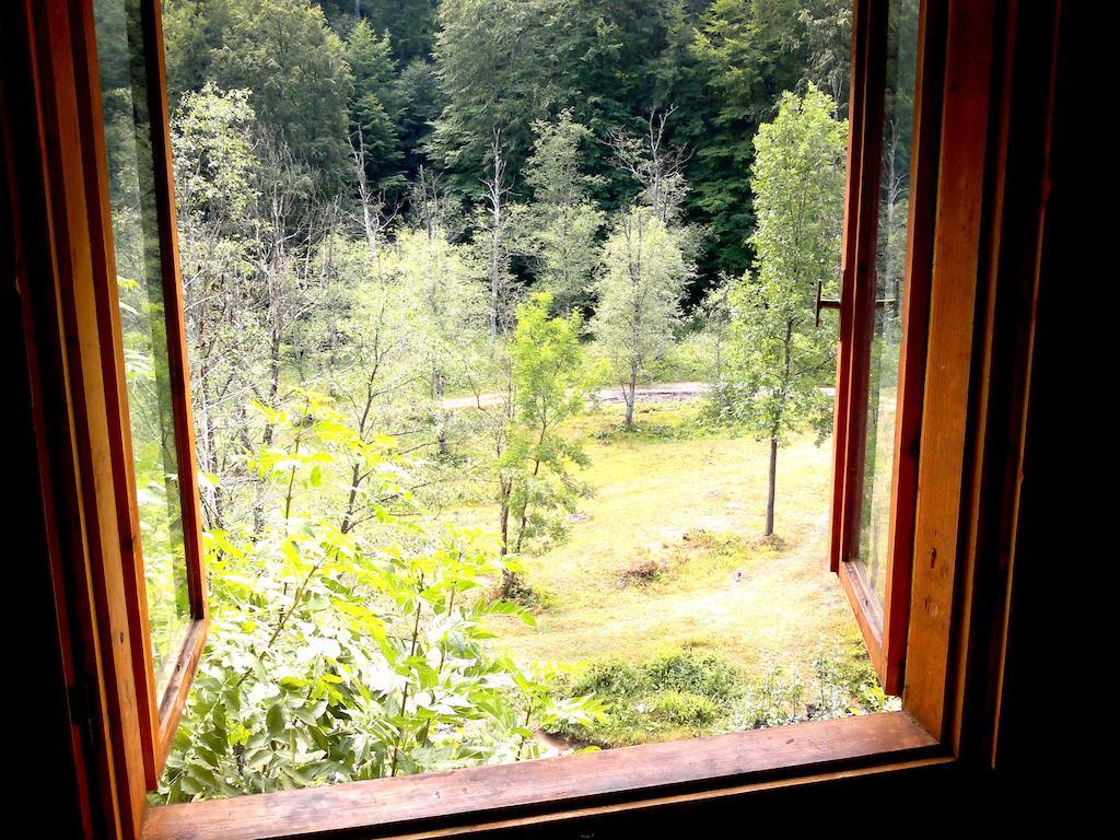 Hôtel Vila Vanturis à Sinaia Extérieur photo